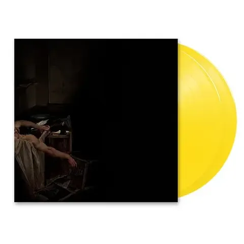 3-have-a-nice-life-voids-hhv-exclusive-canary-yellow-vinyl-edition