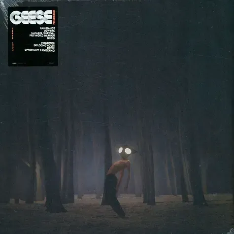 1-geese-projector