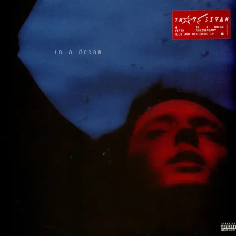 2-troye-sivan-in-a-dream-5th-anniversary-limited-red-blue-swirled-vinyl-edition