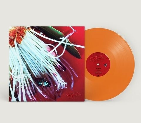 586719590_18385592047147251_4290851881952049648_n