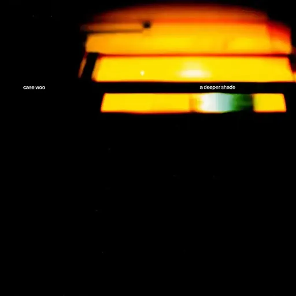 1-case-woo-a-deeper-shade