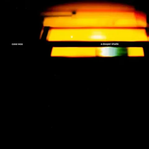 1-case-woo-a-deeper-shade