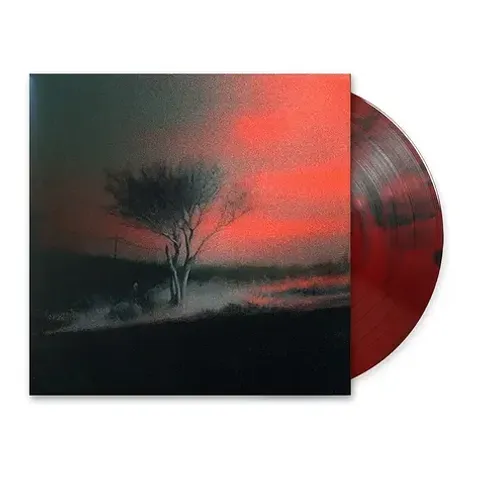 2-joji-piss-in-the-wind-ruby-black-wave-colored-vinyl-edition (1)