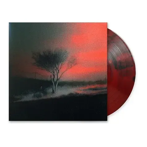 2-joji-piss-in-the-wind-ruby-black-wave-colored-vinyl-edition (1)