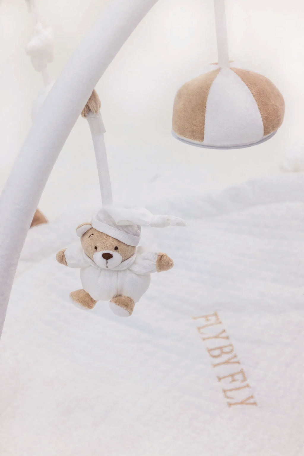 The Noble Bear Bear Gym 3