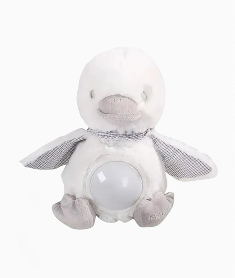 Product template website photo (93)