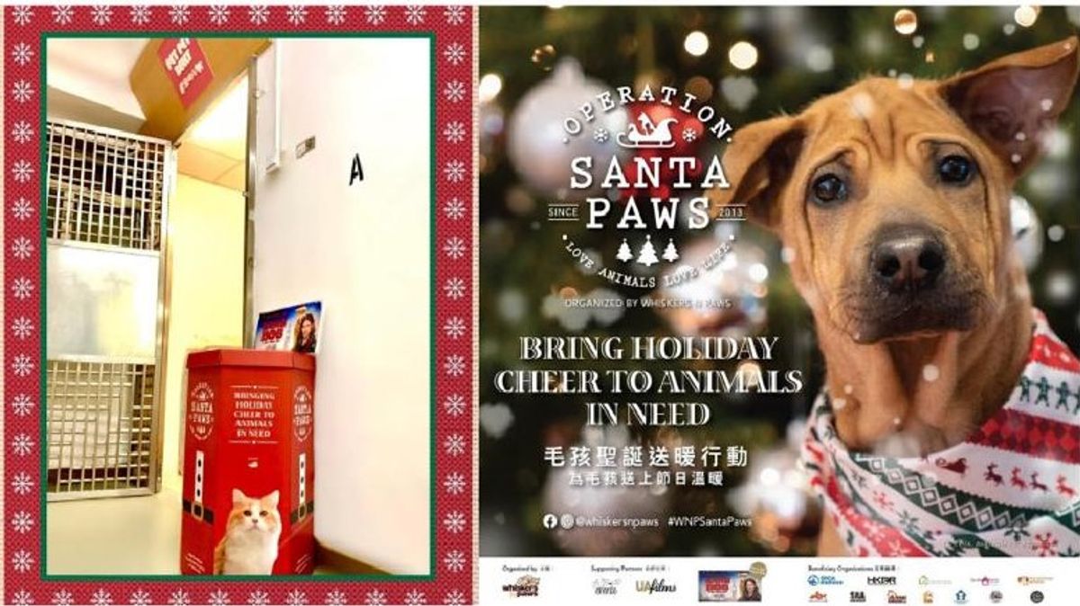 Operation Santa Paws 2020 Donation ❤ 同寵腩仔一起成為毛孩嘅聖誕老人