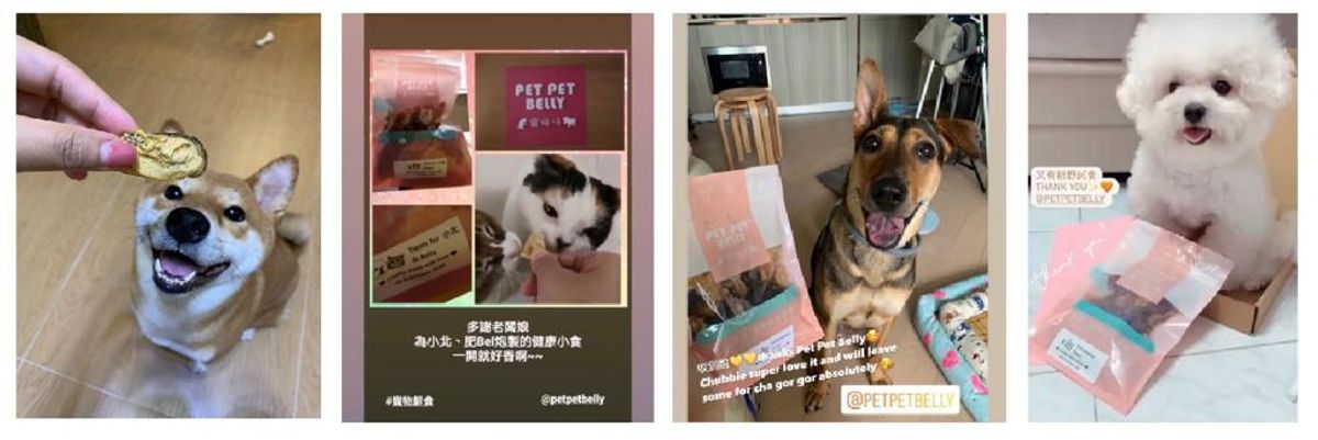 Cute Furbaby Testimonial - Treats ❤ 可愛毛寶貝分享 - 零食篇
