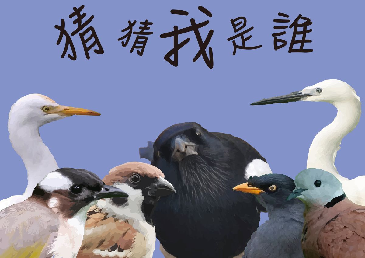 猜猜我是誰〜
