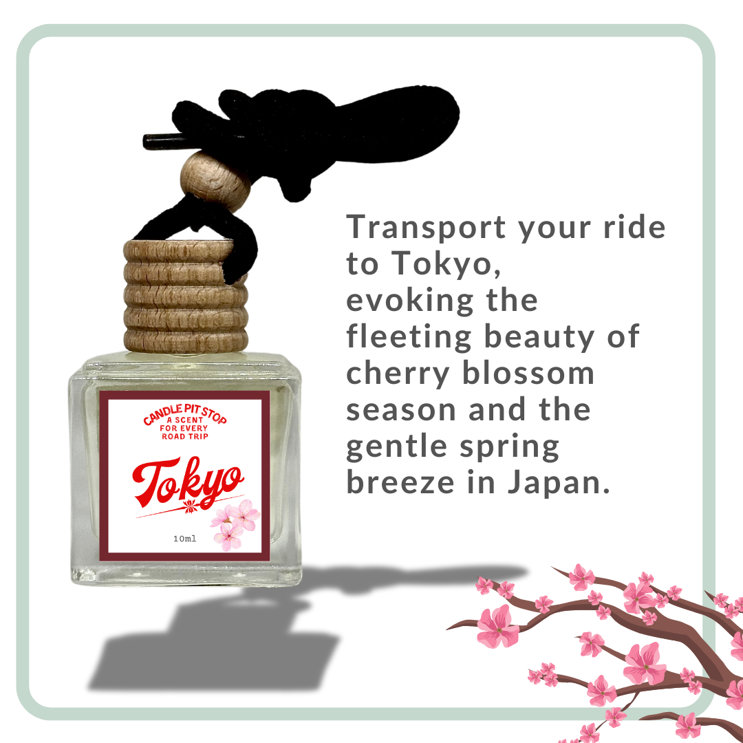 HANGING CAR DIFFUSER