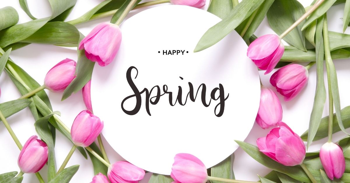 Why We Love Spring!