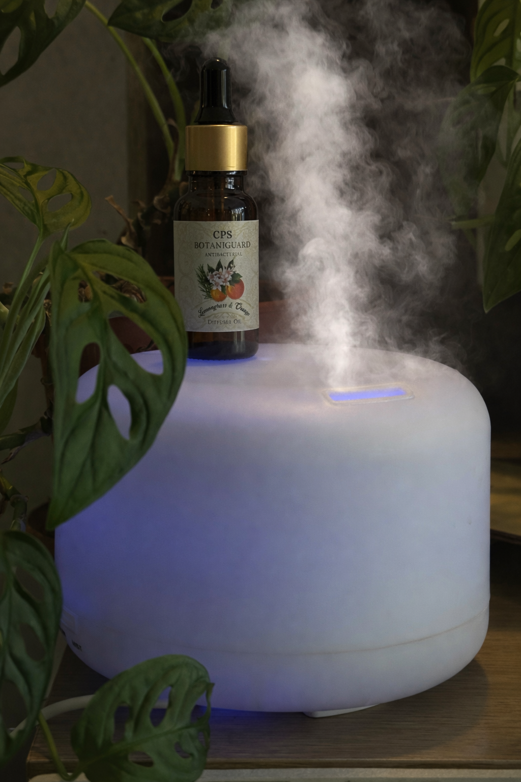 F6DC236C-5D67-4B15-BB08-4A2159C6DAC2