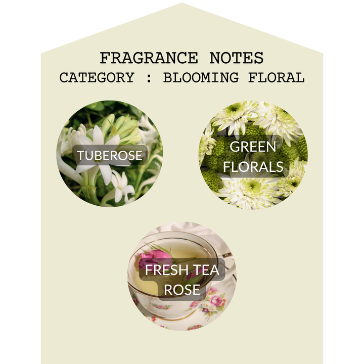 Agave Tuberose 2