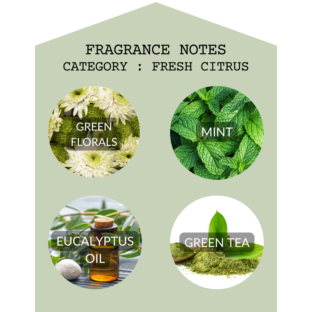 Grent Tea Minty Eucalyptus 2