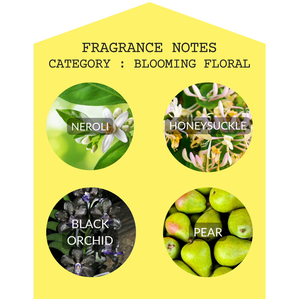 Orchid & Honeysuckle 2