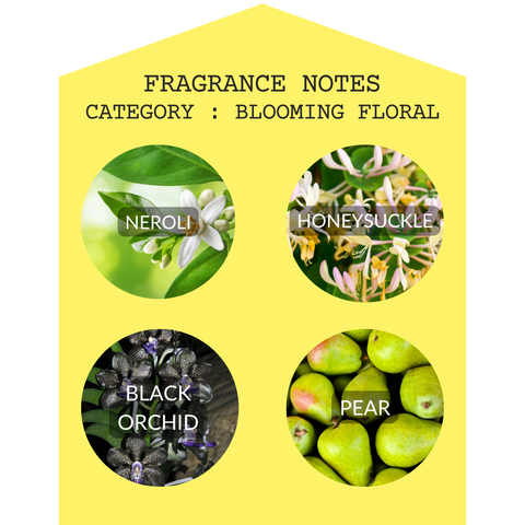 Orchid & Honeysuckle 2