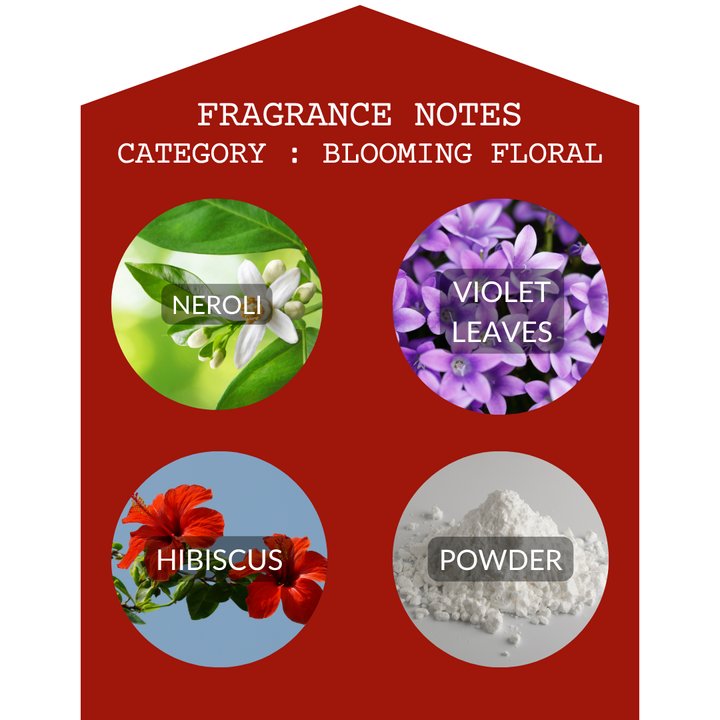 Hibiscus Malaya 2