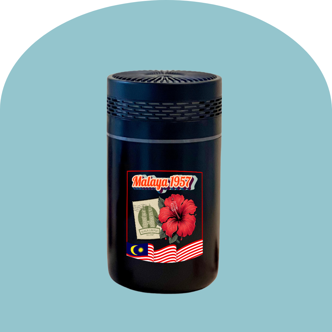 Portable Humidifier (2)