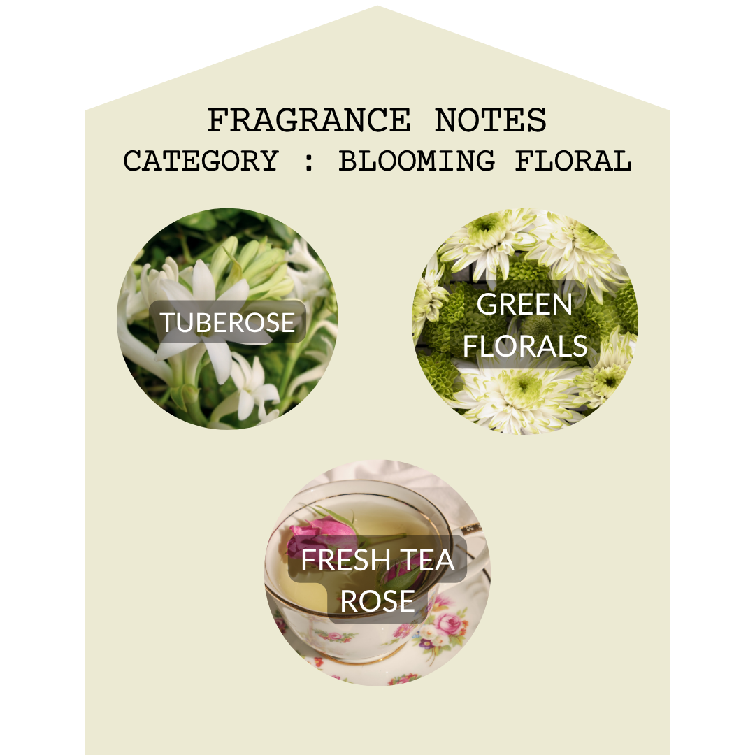 Agave Tuberose 2