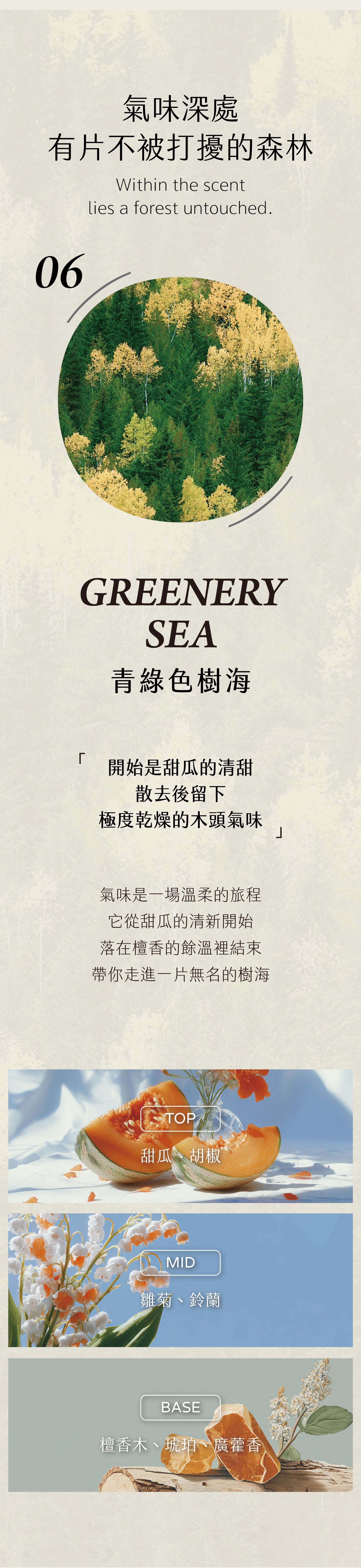 商品介紹-20251020-06-12