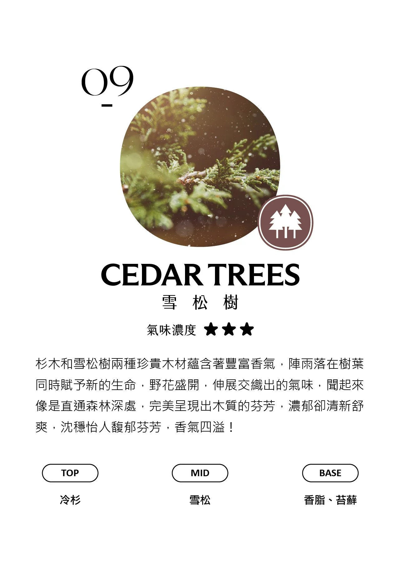 試聞片A (02-28) - 香氛/精油/擴香 - 塑膠 黑色