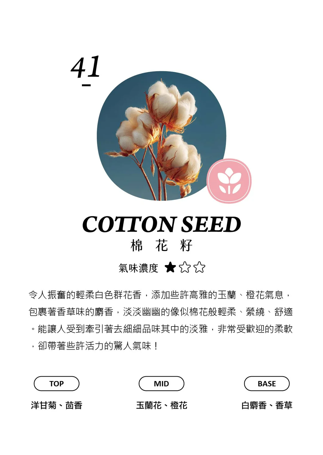 試聞片B (30-102) - 香氛/精油/擴香 - 塑膠 