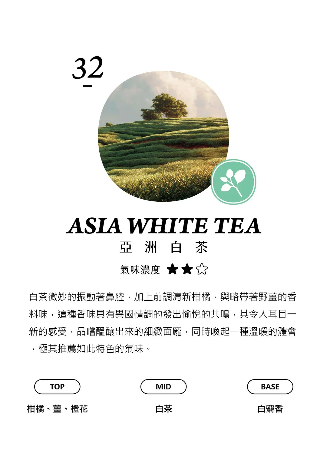 試聞片B (30-102) - 香氛/精油/擴香 - 塑膠 