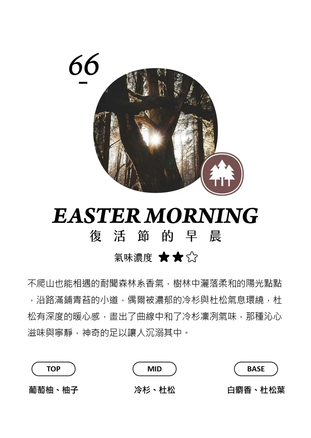 試聞片B (30-102) - 香氛/精油/擴香 - 塑膠 