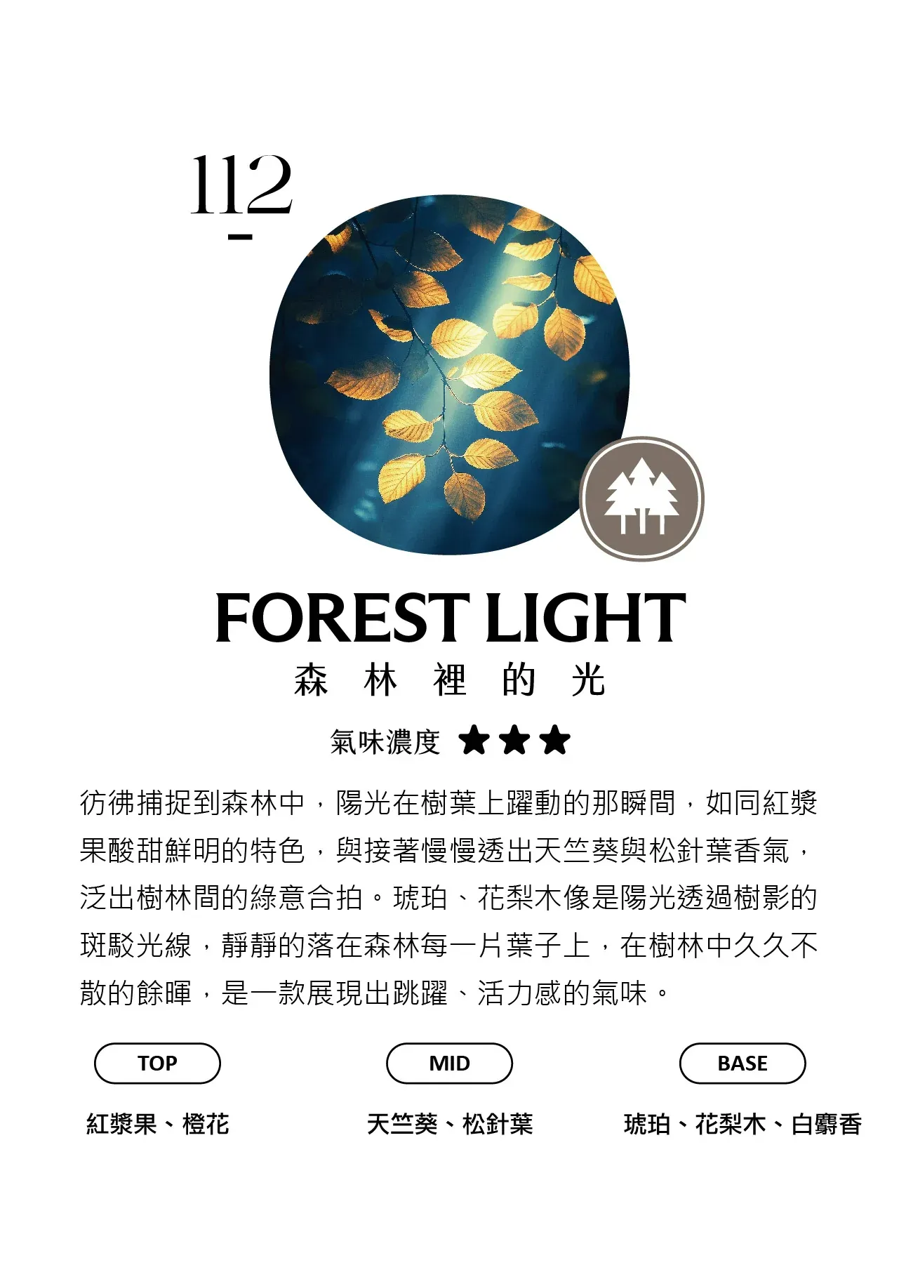 試聞片B (30-102) - 香氛/精油/擴香 - 塑膠 