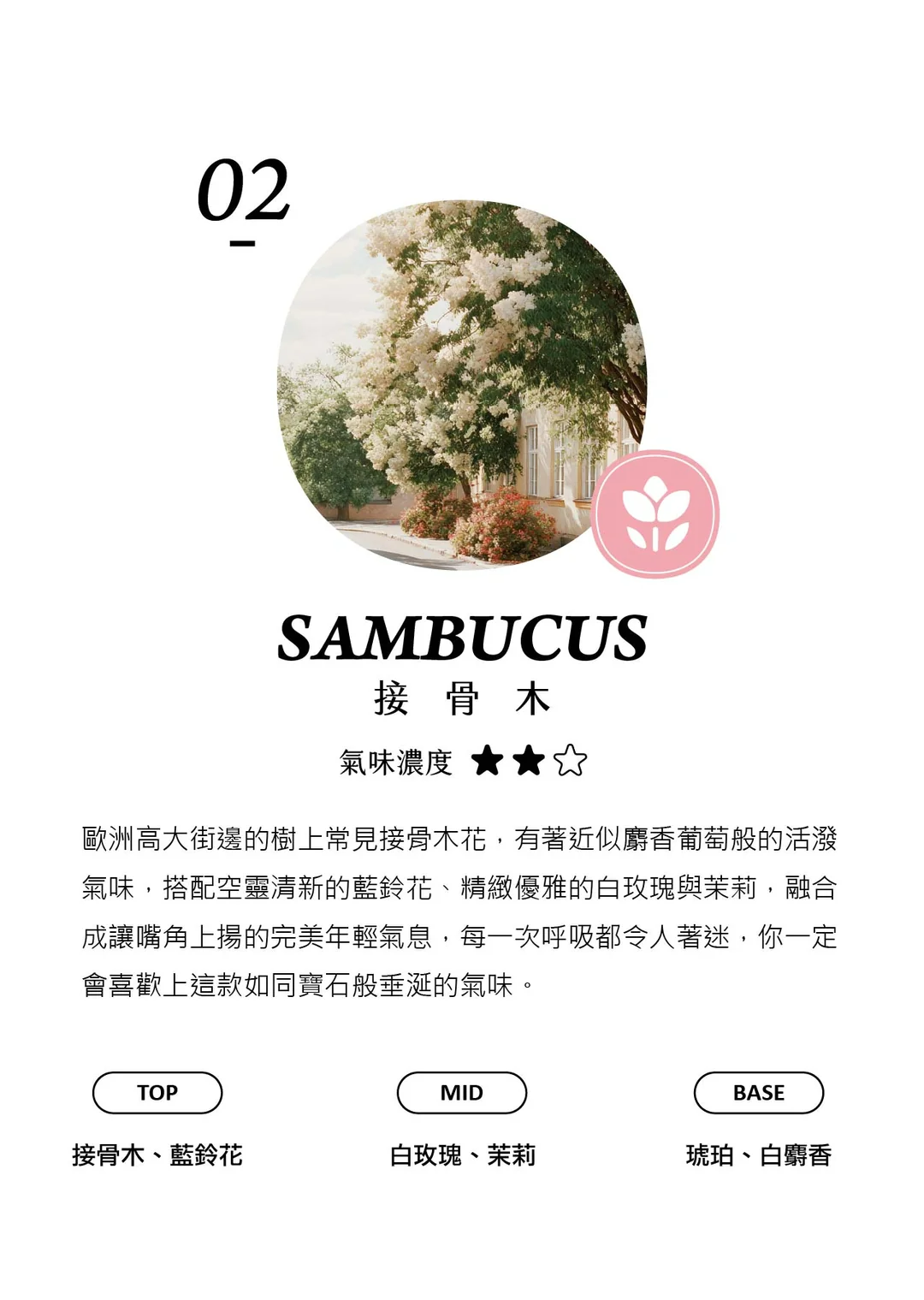 衣物/空間香氛噴霧 50ml - 香氛/精油/擴香 - 玻璃 透明