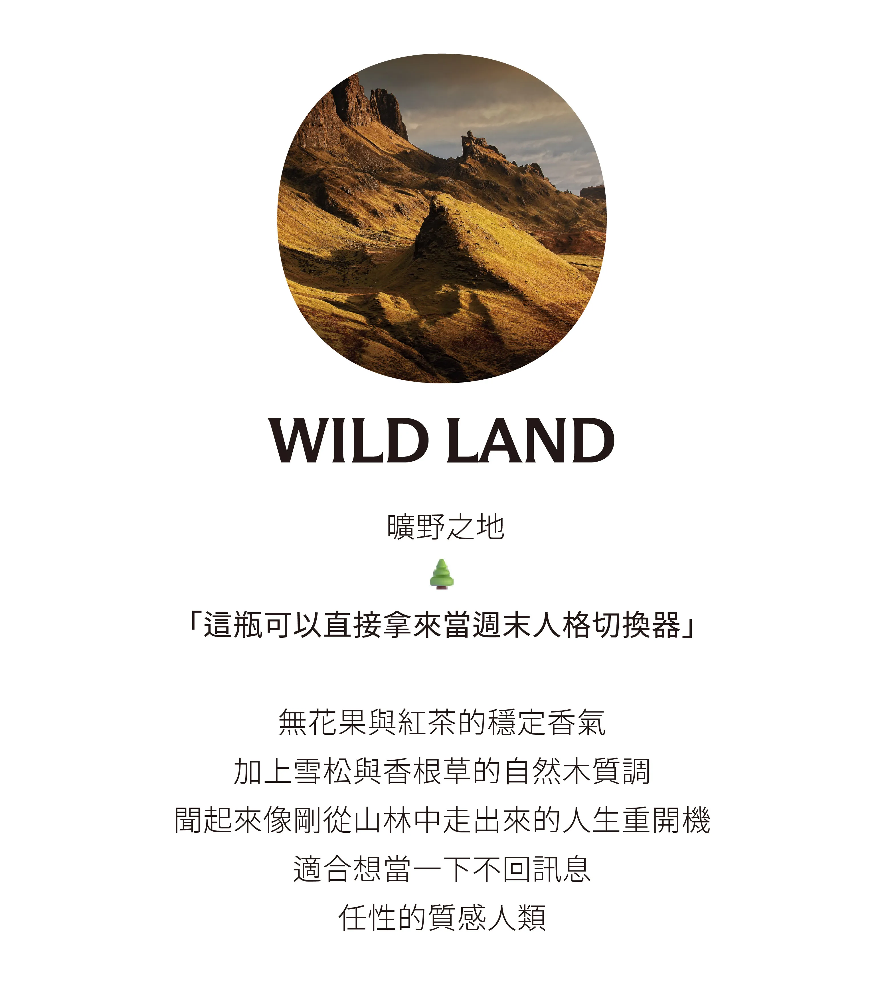 CRAZY-官網-20251128-聖誕_工作區域 1 複本 2