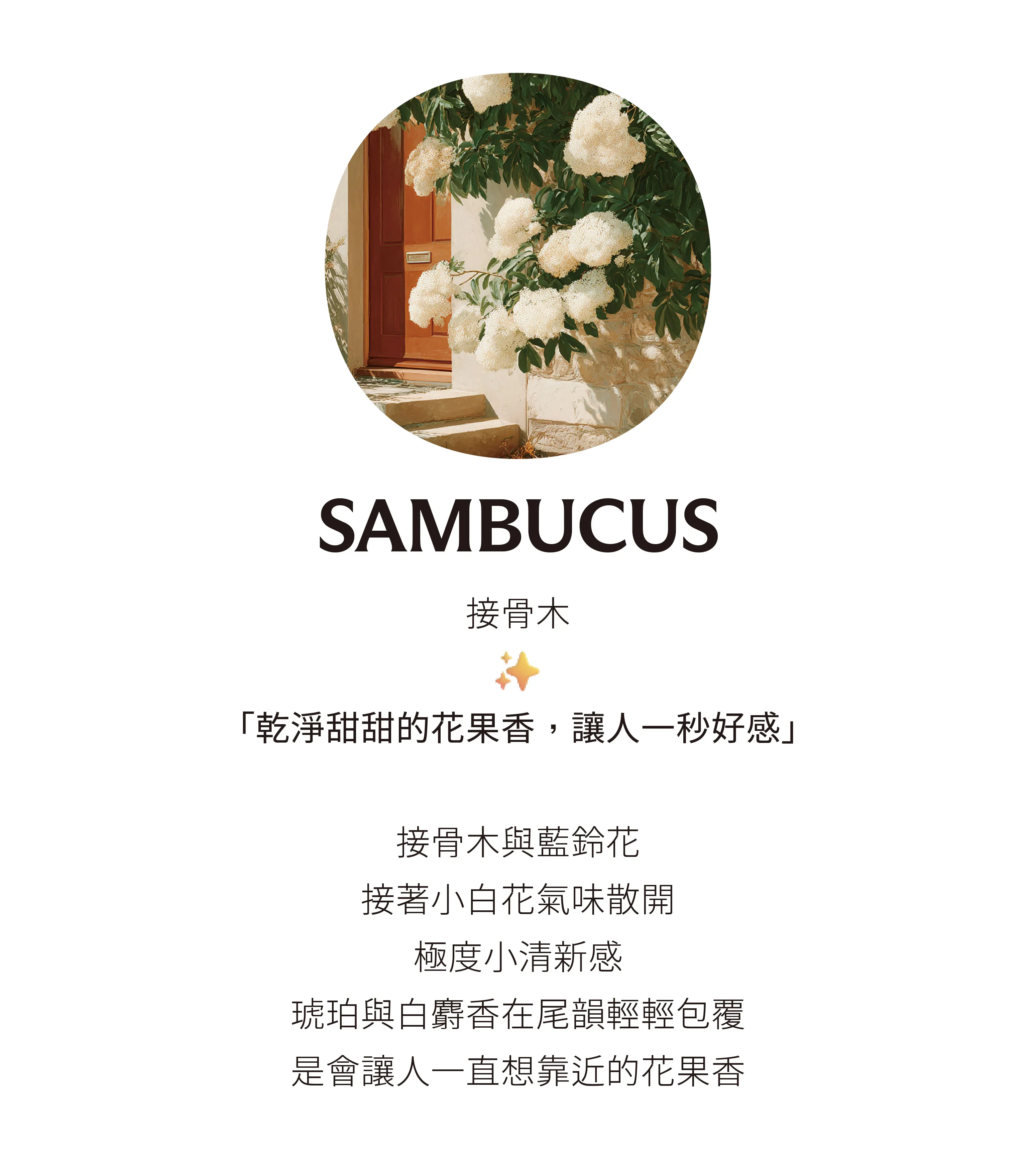 CRAZY-官網-20251128-聖誕_工作區域 1 複本 4