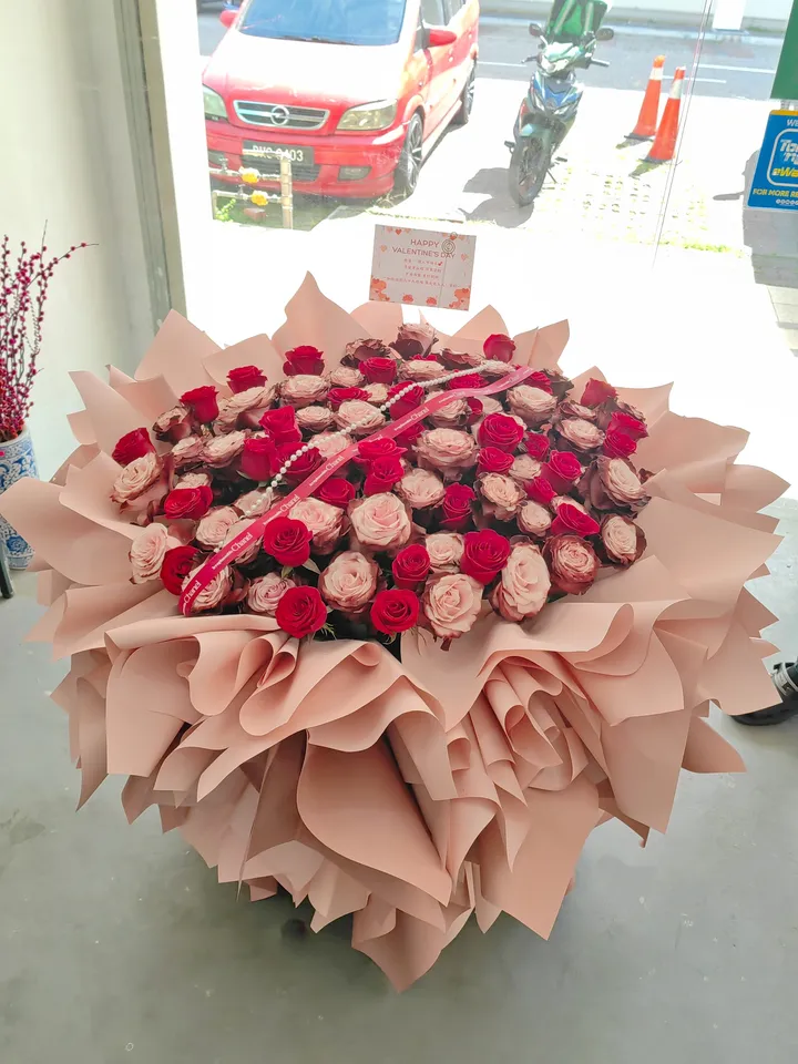 MEITU_20260220_173140641