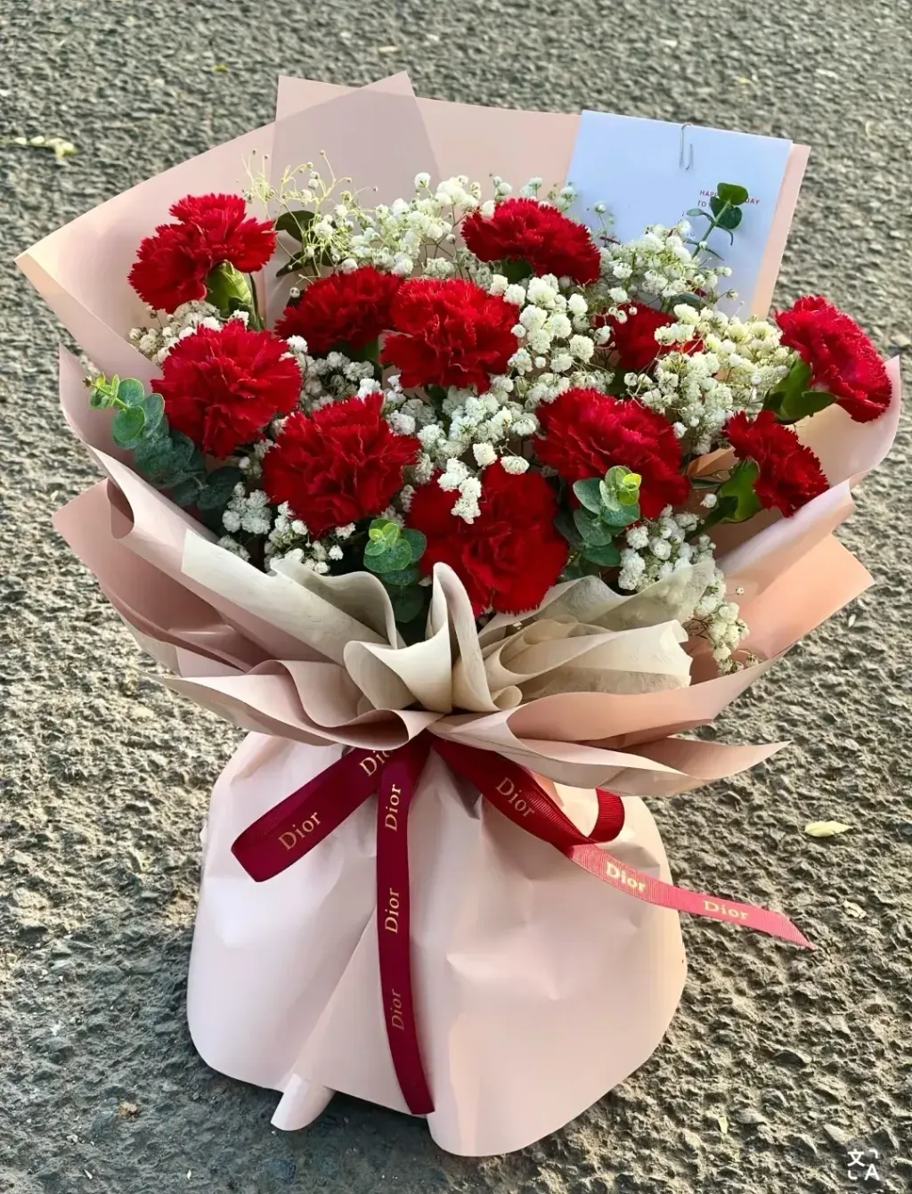 Carnation Bouquet 02 (Red)