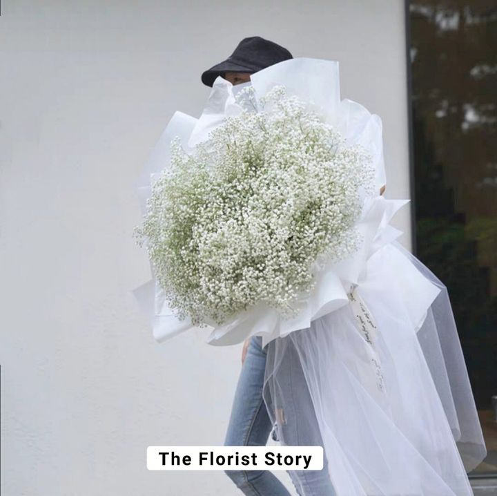XXXL size Baby’s Breath Bouquet 巨形熊抱超仙满天星花束