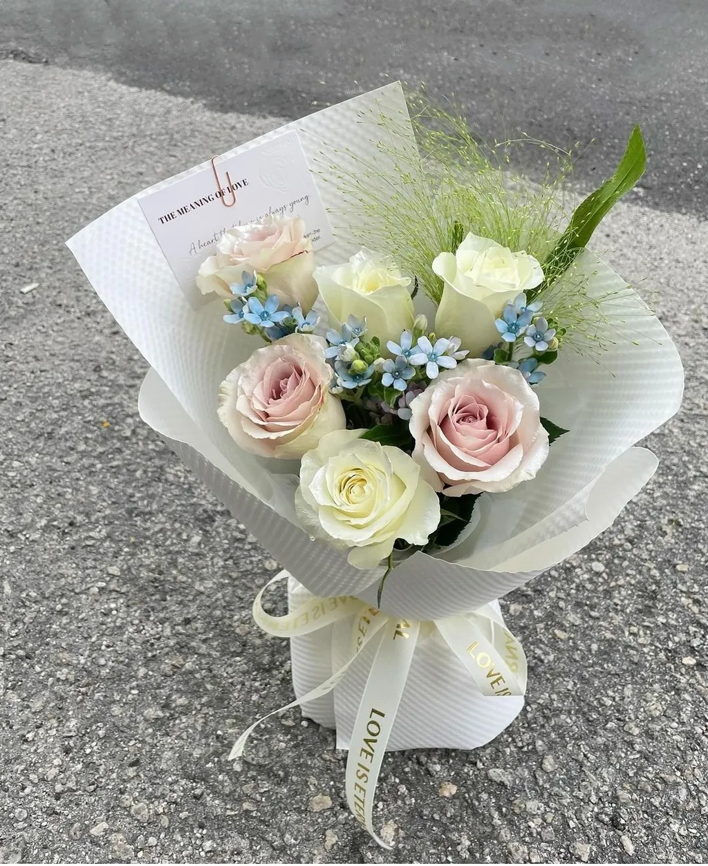 MTXX_MH20240522_172350453