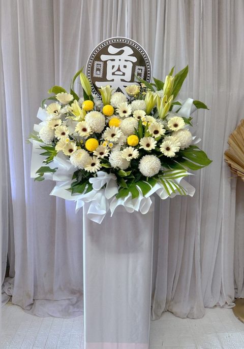 MEITU_20240909_224249922