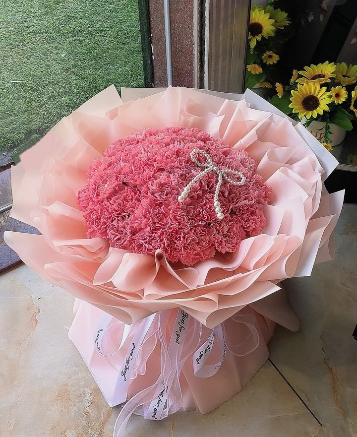 Carnation Bouquet (33 stalks)