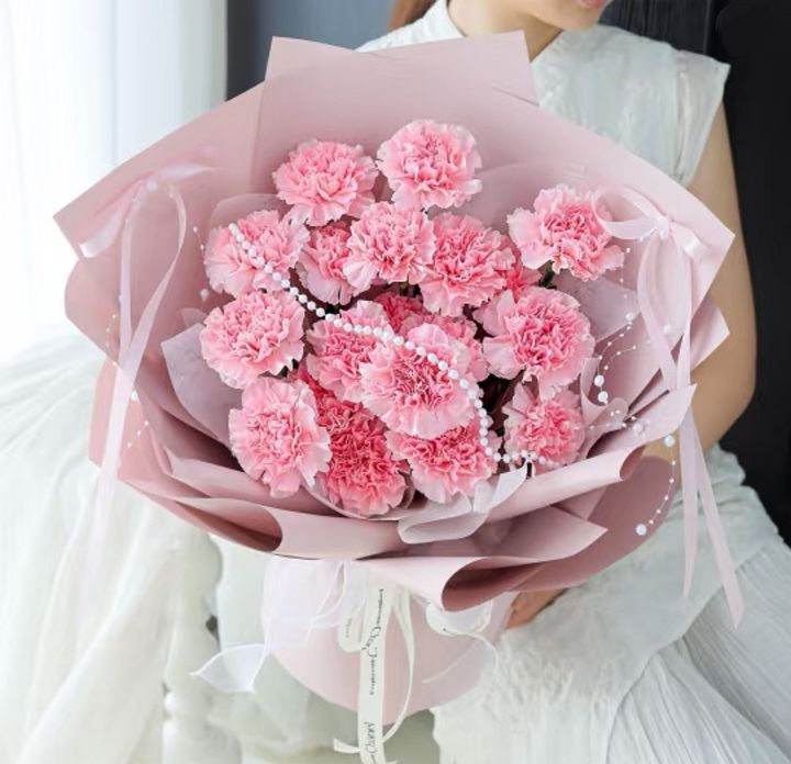 Carnation Bouquet (19 stalks)_edit_59076198492547