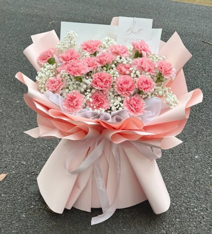 Carnation Bouquet (33 stalks)
