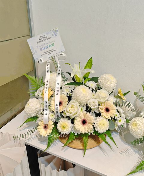 MEITU_20251106_023438105