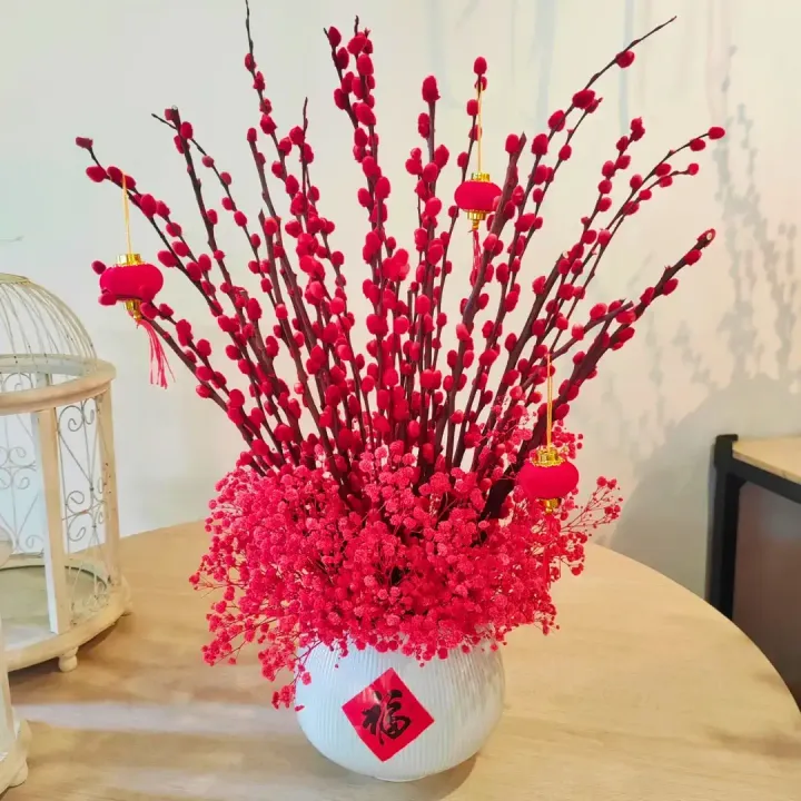 CNY Pussy Willow