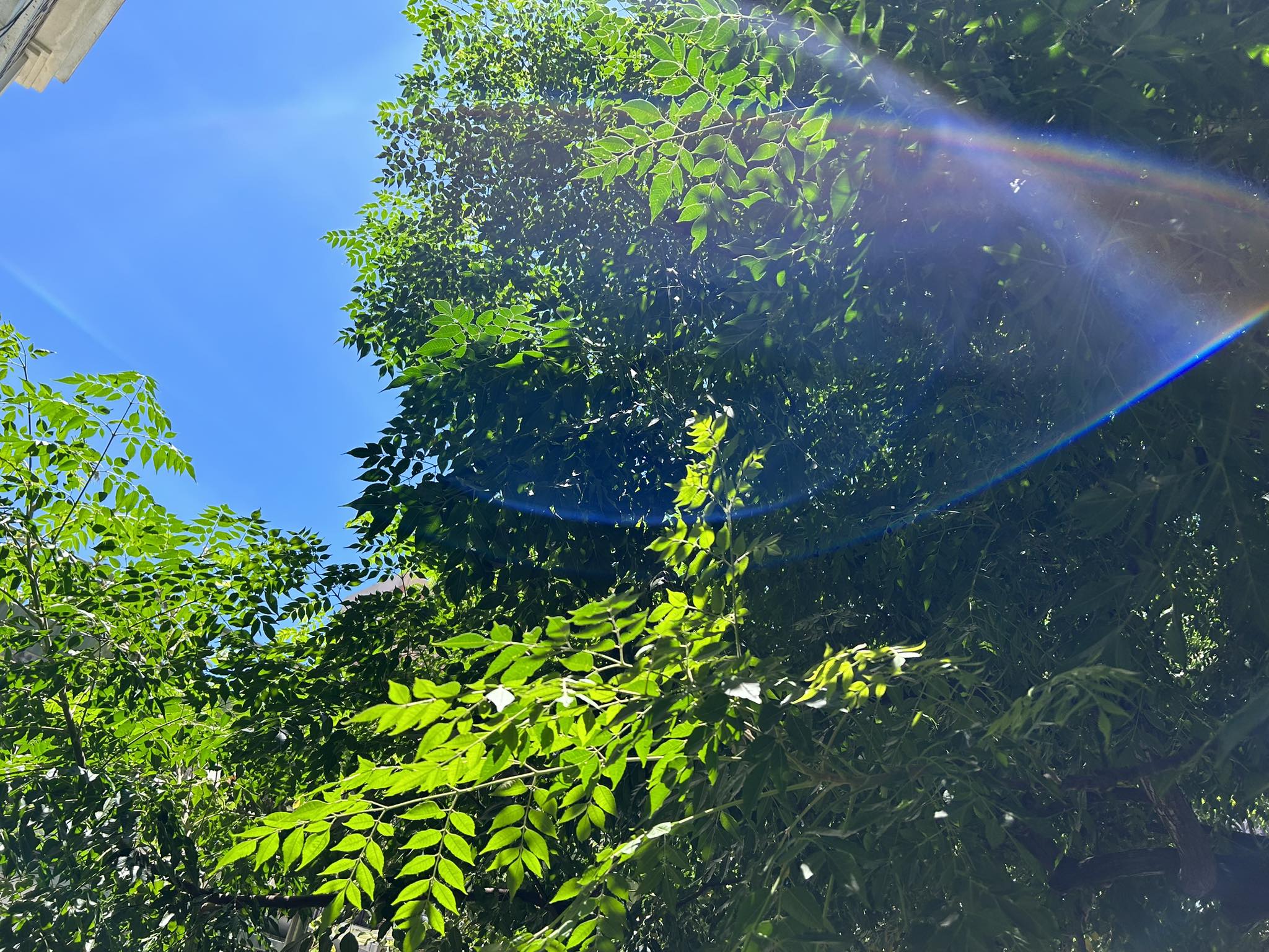 夏至