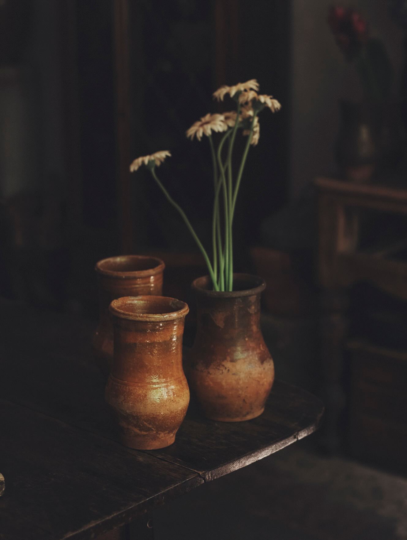 615785616_1330866505752504_1496133727335771043_n