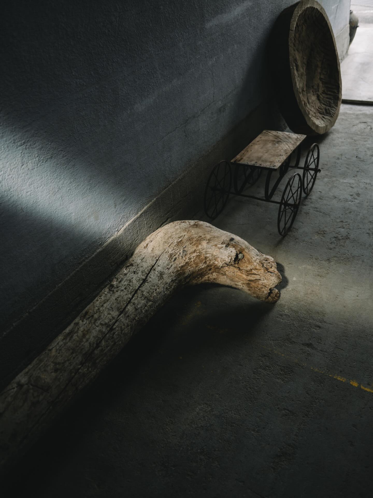 616235039_1330866539085834_8523191823092357085_n