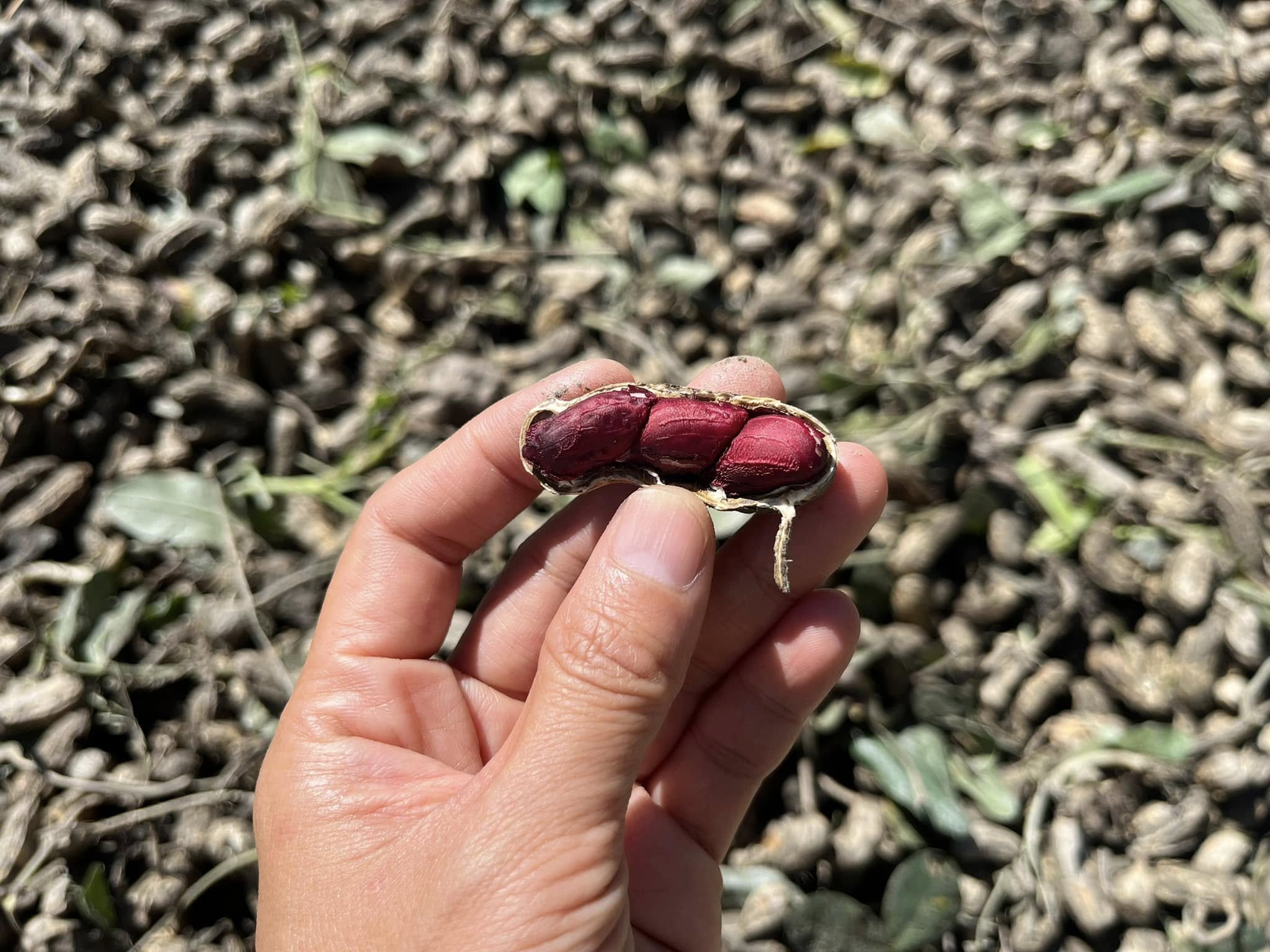 對身心有幫助的工商服務