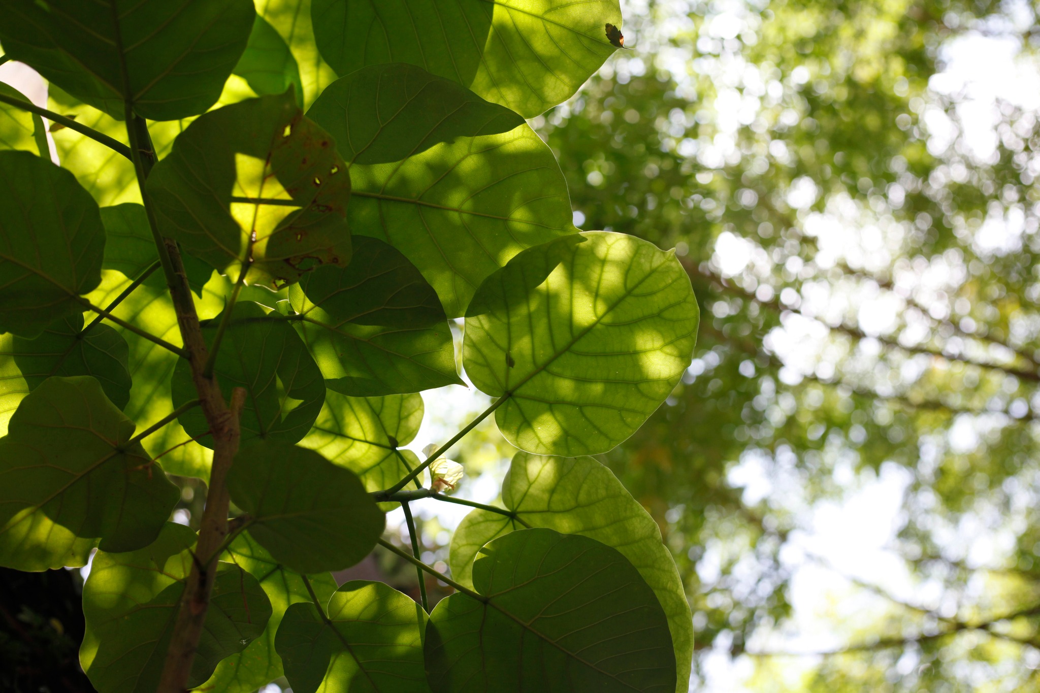 實心裡生活什物店 | 