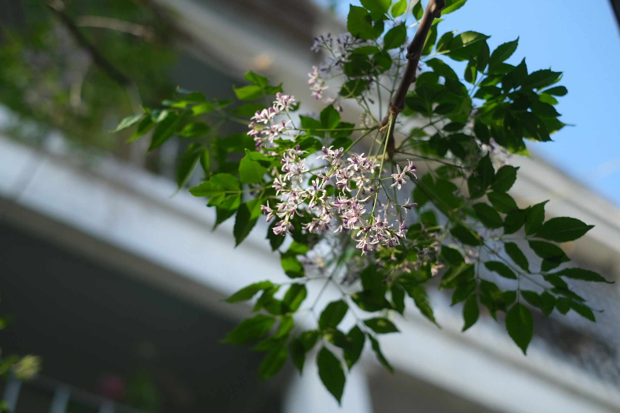 660415601_1390679383104549_3703076425641123368_n