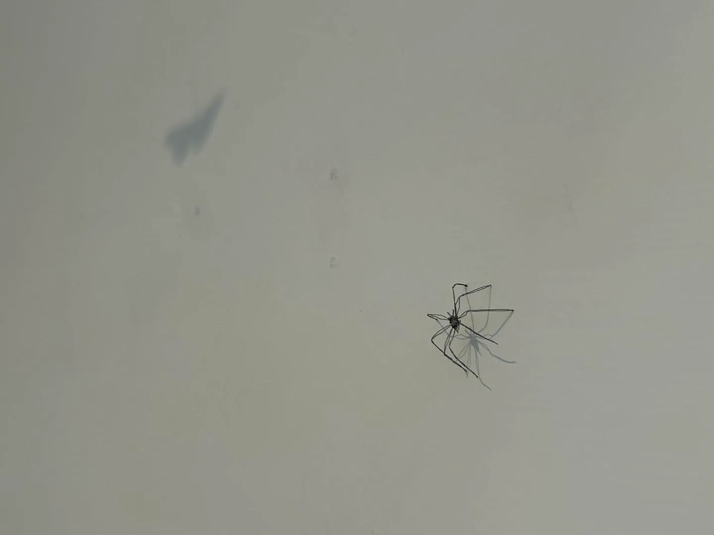 668925780_1399361448903009_729410049846717574_n