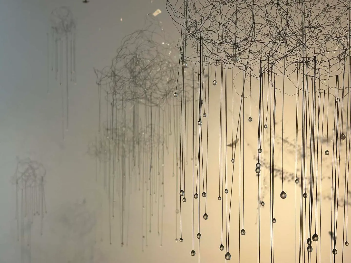 669155624_1399361525569668_2052950277066536588_n